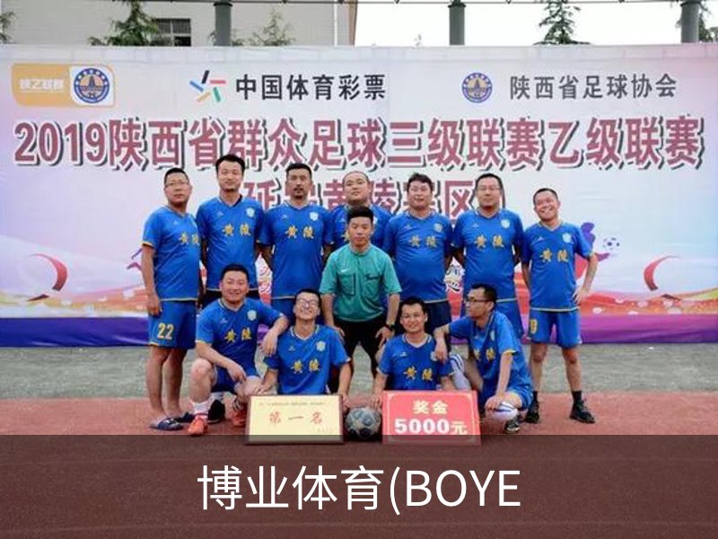 博业体育(BOYE概况