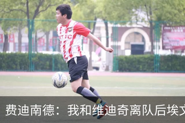 费迪南德：我和维迪奇离队后埃文斯能力最强